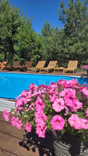 Radziejowice Resort | Leśna Osada przy Suntago Park