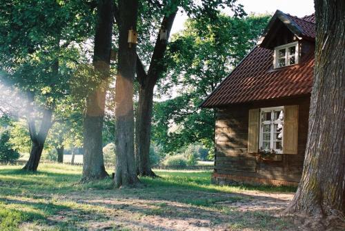 Tuchola Apartment | Leśne Apartamenty w Borach Tucholskich
