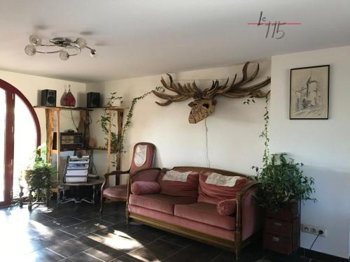Hadol House | Le 115, retour aux sources