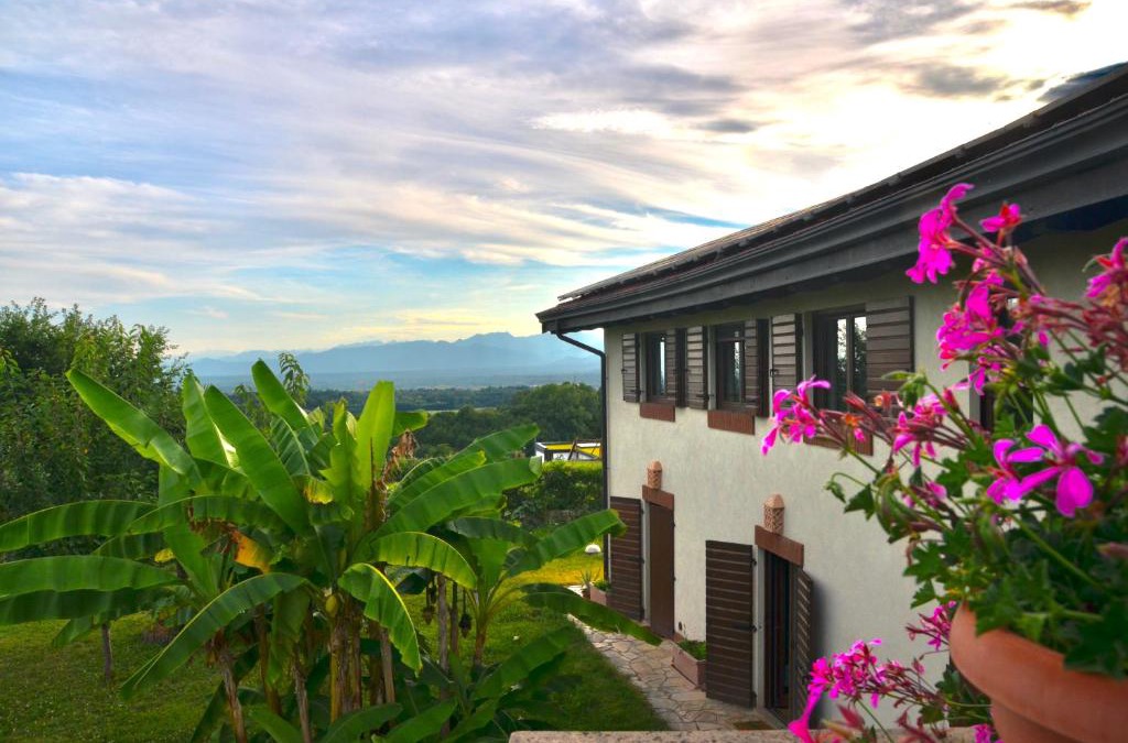 Cuceglio Hotel | Le Ali del Falco