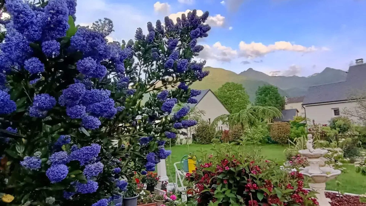 Adast Bed & Breakfast | Le Balcon des Cimes