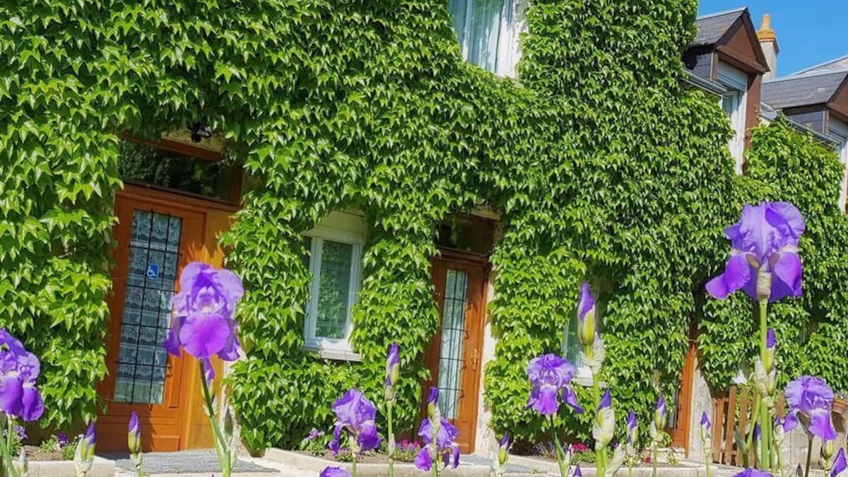 Beaugency Hotel | Le Beaugency
