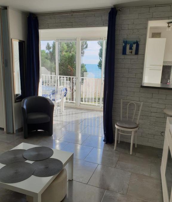 Argeles Plage Apartment | LE BELVEDERE 1- Front de Mer - Plage Argelès