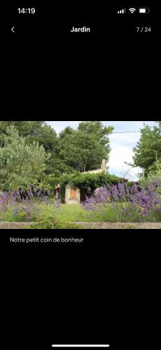 Mane House | Le Cabanon