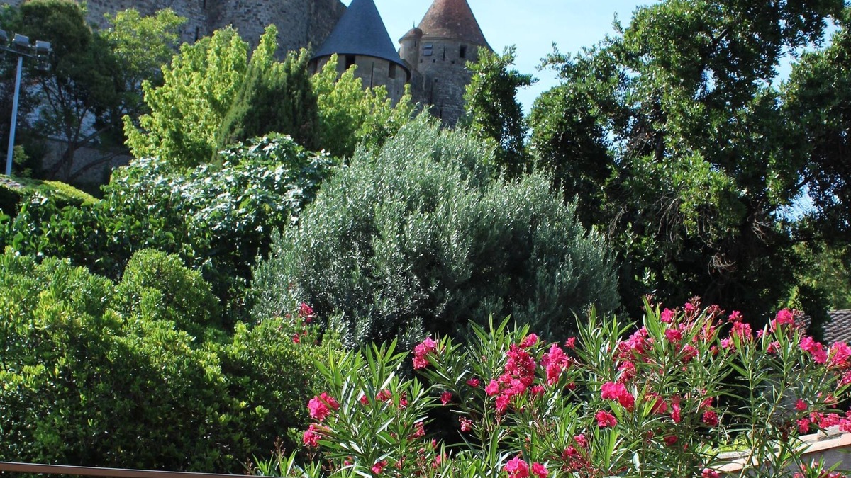 Carcassonne House | Le Cellier de Beaulieu, son Jacuzzi et la Cité de Carcassonne