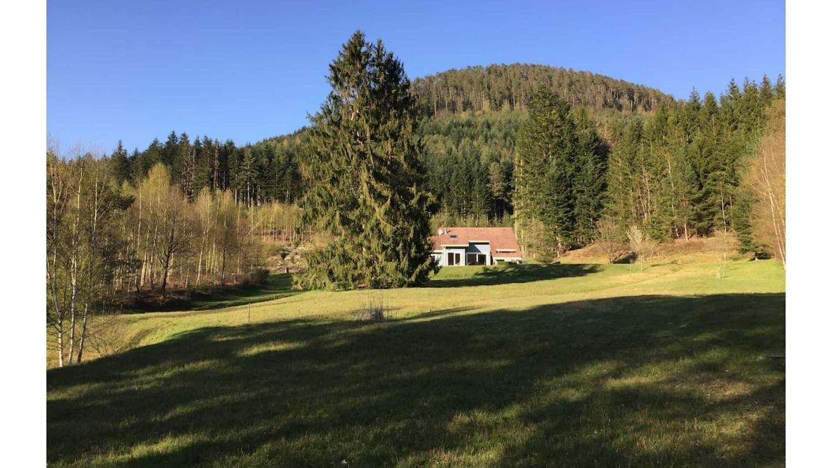 Allarmont Ski Chalet | Le Chalet Bleu. On the edge of the forest. Sleeps 7.