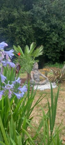 Cambo-les-Bains Bed & Breakfast | Le chant des oiseaux