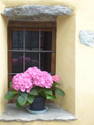 Vignil House | Le Chaton Fait Ronron