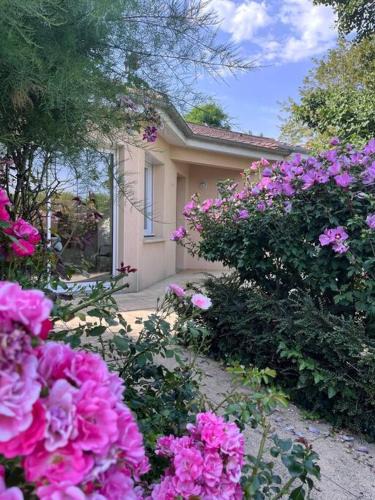 Nueil sur Layon House | Le Clocher du Layon