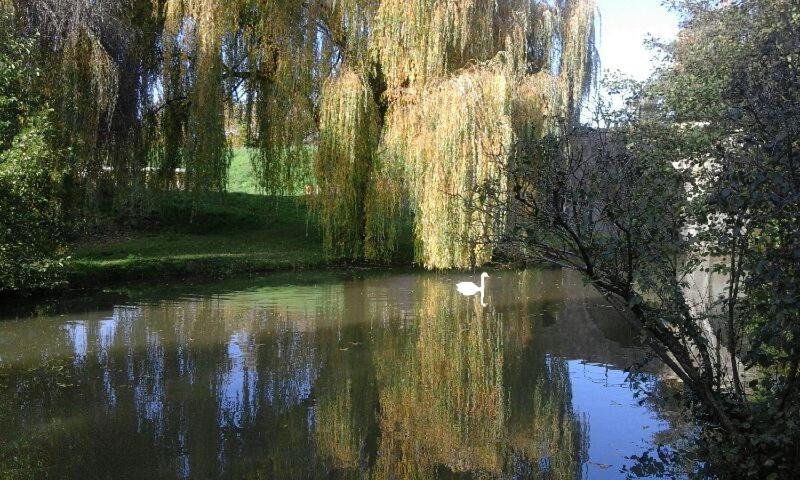 Charolles Apartment | Le Clos des Cygnes