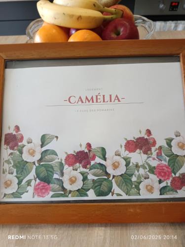 Belmontet House | Le Clos des Romarins Gîte CAMELIA