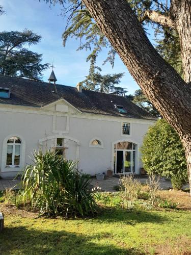 Montjean-sur-Loire Bed & Breakfast | Le clos du prieuré