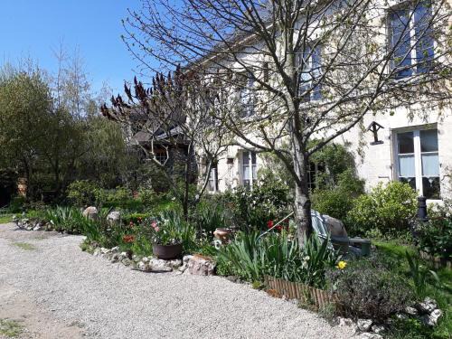 Saint-Dye-sur-Loire Bed & Breakfast | Le Clos Joséphine