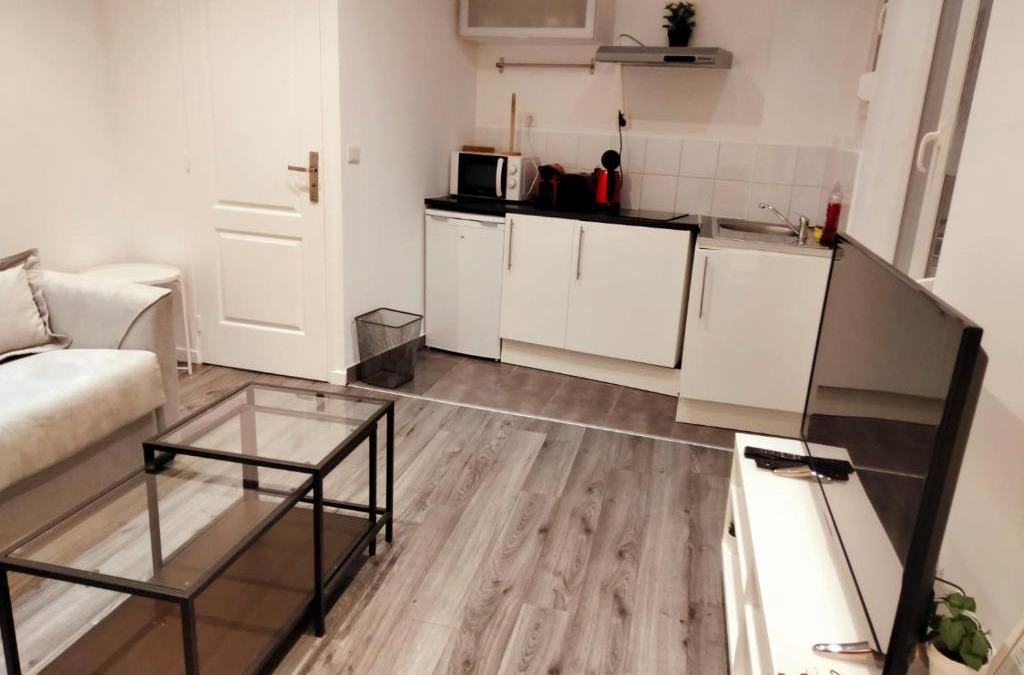 Saint-Denis Apartment | Le Cocooning Paris Stade de France