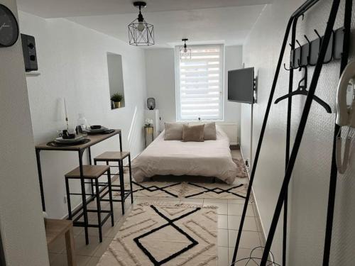 Montbeliard Apartment | Le Cosy au pied du Château-Centre Ville
