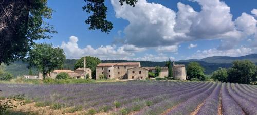 Viens Apartment | Le Cosy Luberon - Gite provençal avec piscine