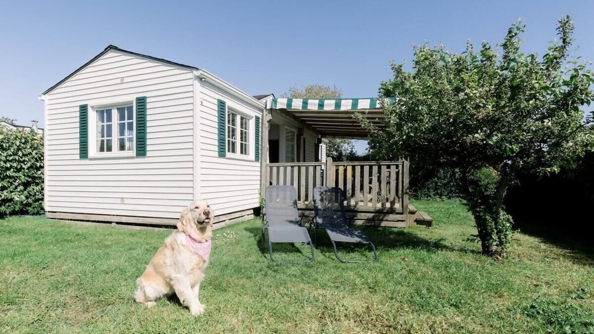 Bourgenay Cottage | LE COTTAGE DE LYXIE