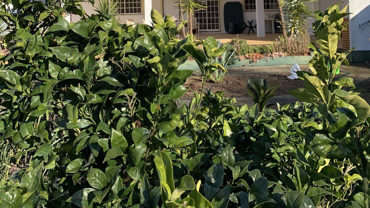 Camparca House | Le Domaine de Lorangeraie