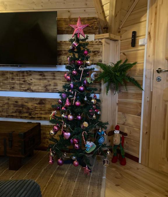Foncine-le-Haut Ski Chalet | Le Féérik