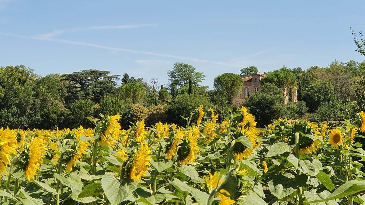 Cessales House | Le Gîte Château Sud, le Charme de la Toscane au Coeur du Lauragais