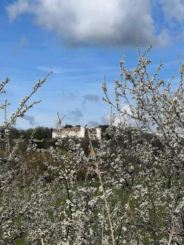 Ray-sur-Saone House | le Gîte de Marie Ray Sur Saône