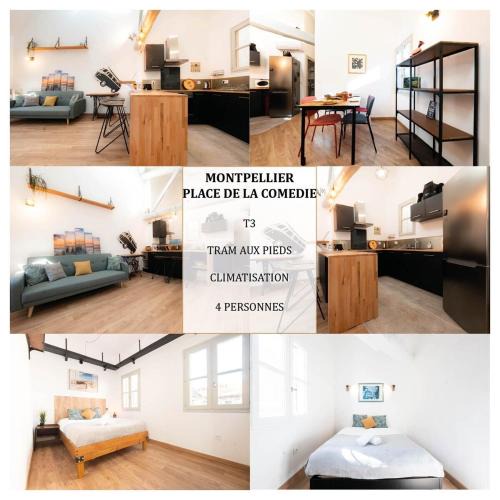 Comedie Apartment | Le Gaby - Climatisation Place de la Comédie