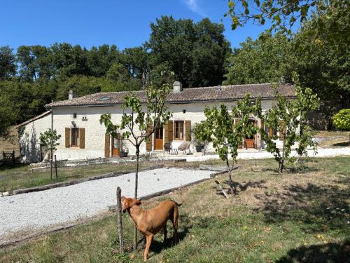 Sud Charente Apartment | Le Hibou -1 bed Gite