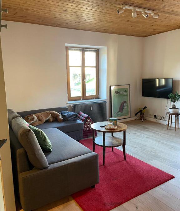 Le Hohwald Apartment | Le Hohwald centre appartement 2 pièces # 102