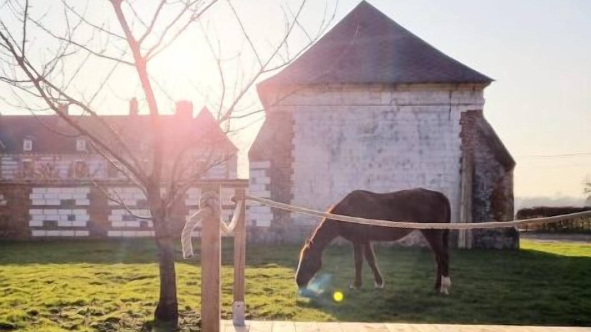 Saint-Martin-le-Gaillard House | le L ' o d g e du Parc/Nature et Mer