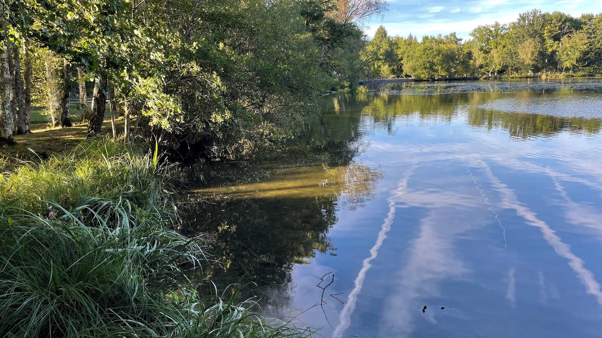 Nouan-le-Fuzelier Apartment | Le lac de Villiers