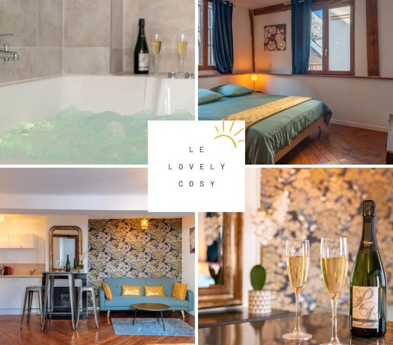 Rouen City Centre Apartment | Le Lovely cosy jacuzzi centre-ville wifi