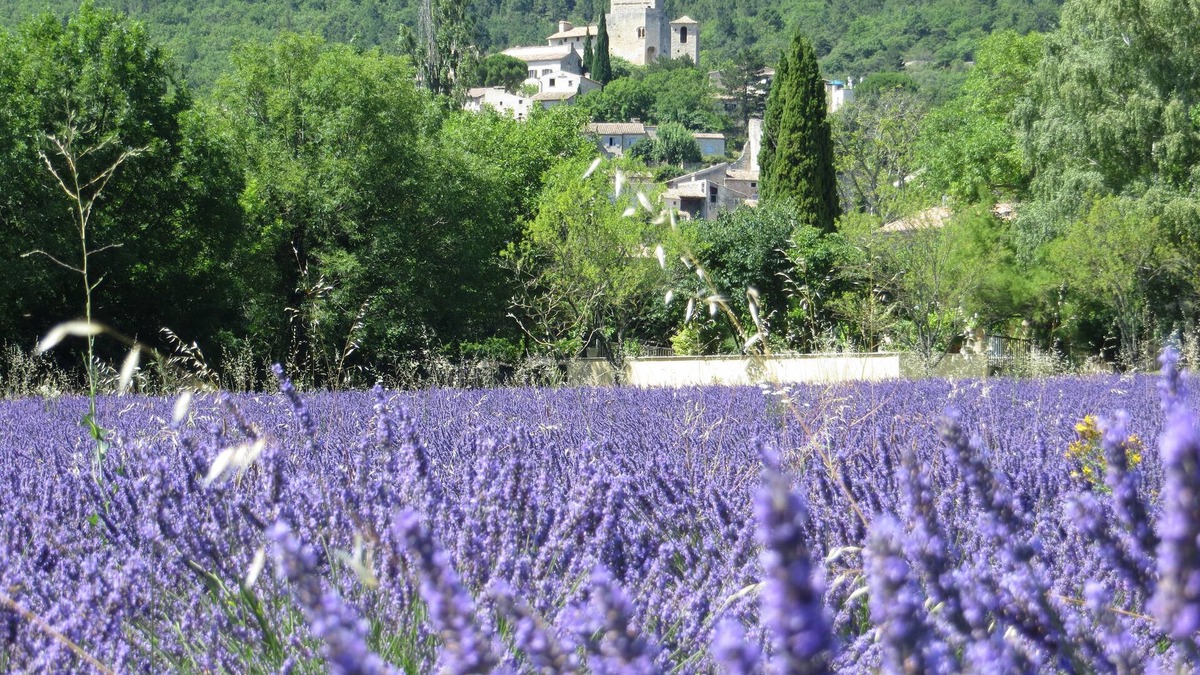 Le Poet-Laval House | Le Mas des Restanques 3*,located in one of the most beautiful villages in France