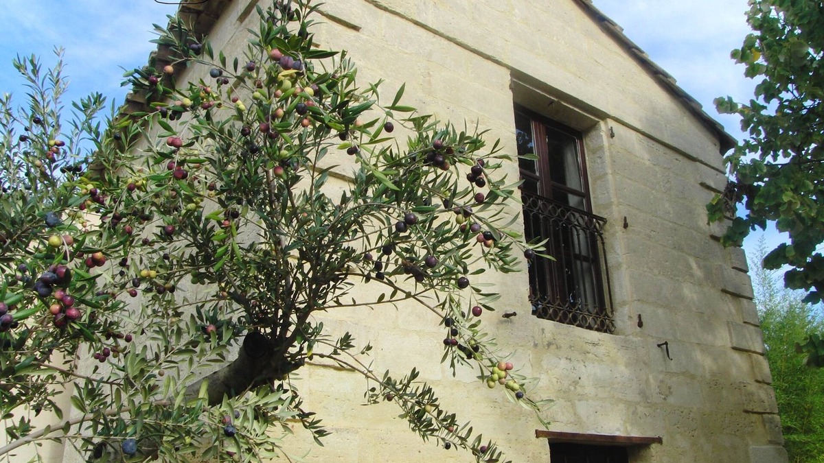 Uzes House | Le Mazet Authentique à Uzès, Clim, Piscine, Jardin, Wifi, Ideal Couple