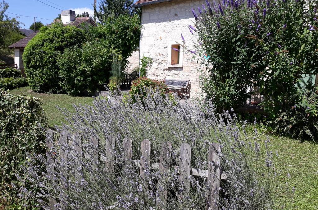 Coussay-les-Bois House | Le Misteflore
