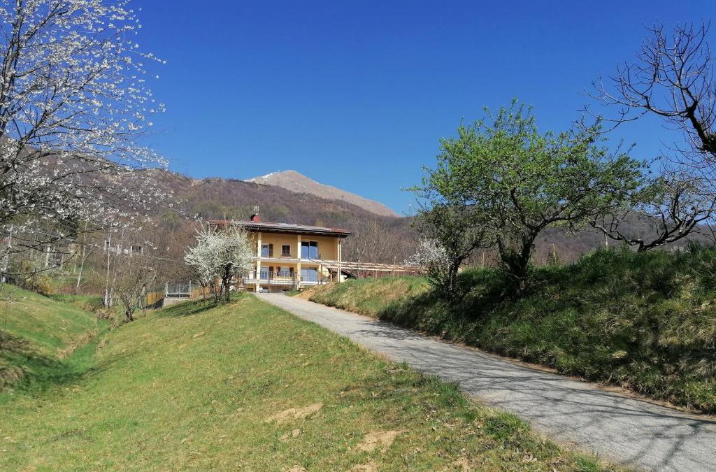 Borgiallo House | Le Moie