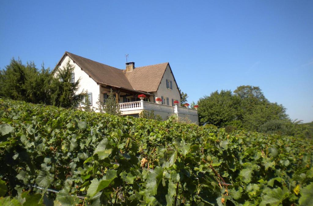 Buxy House | Le Mont Laurent