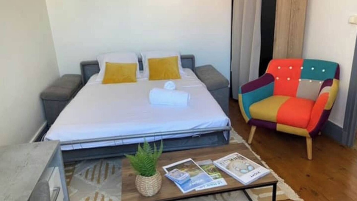Cœur de Ville Apartment | Le Nid Dacher Centre Vichy Gare Thermes Cures