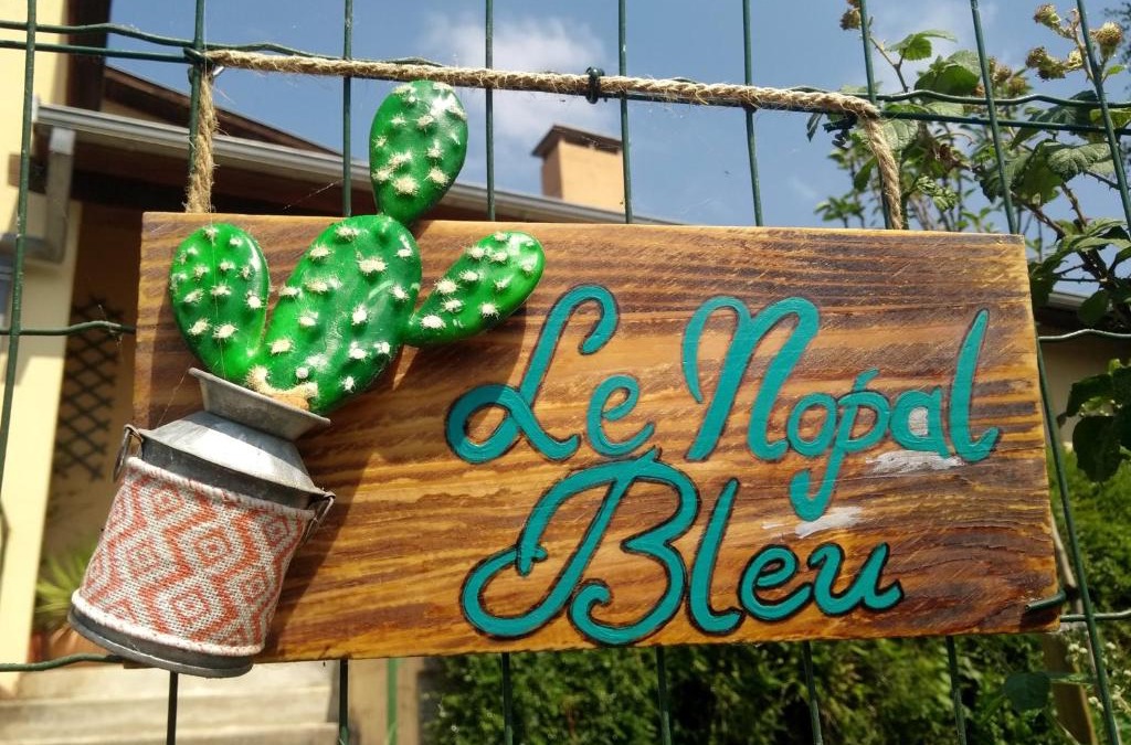 Tarascon-sur-Ariege Apartment | Le Nopal Bleu