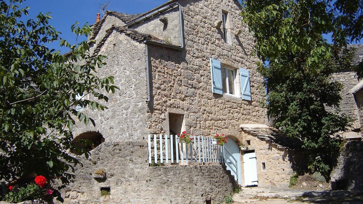 Saint-Andre-de-Vezines House | "le NOYER "caussenarde house near Millau parc reg. des grands 12720