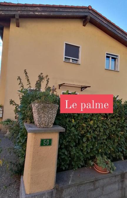 Monteceneri House | Le palme