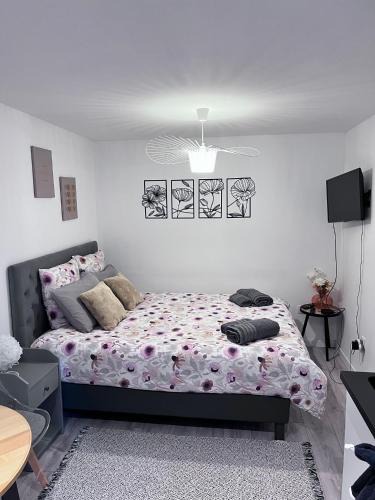 Kable Apartment | Le Patcho Charmant studio Confortable & Chaleureux , idéalement situé proche centre ville Quartier Neustadt Tribunal, Contades