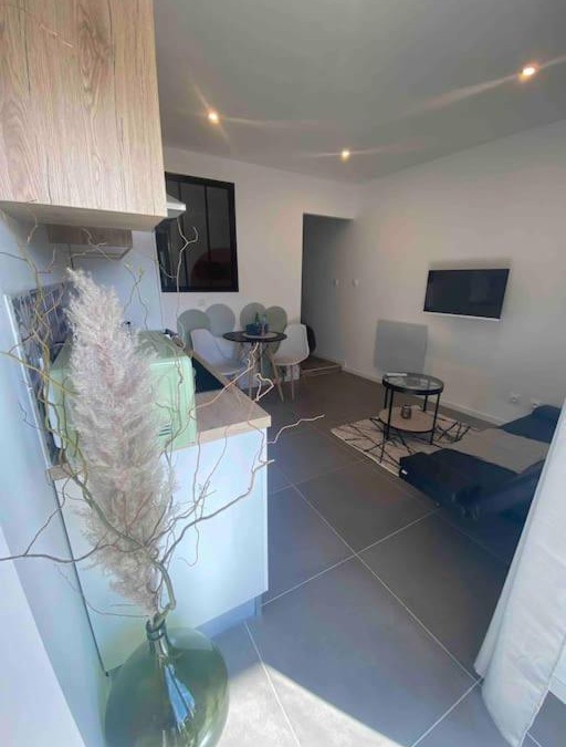 Briord Apartment | « Le Petit Louis »
