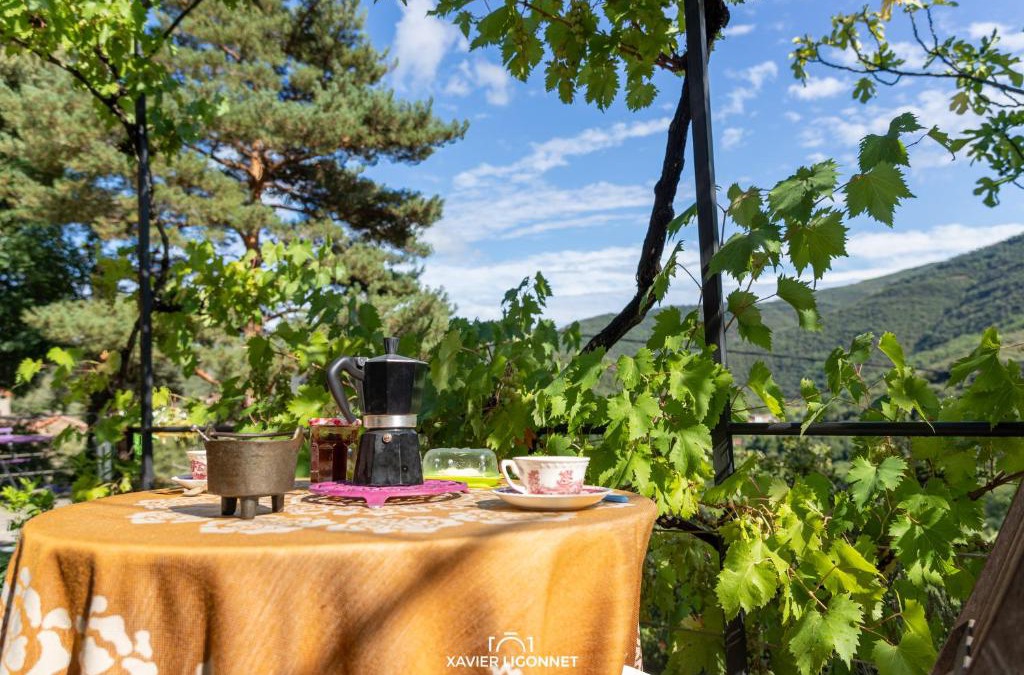 Premian Bed & Breakfast | Le Petit Paradis