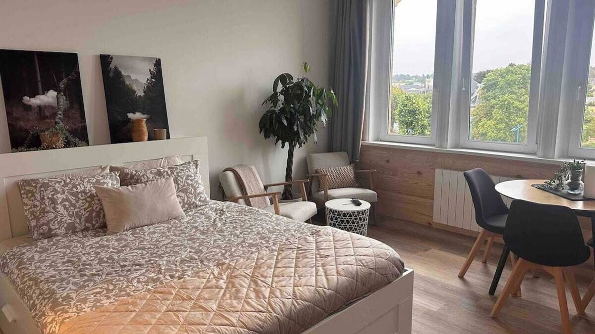 Sedan Apartment | Le Petit Port, quiet apartment 5 minutes from the town center. Pets welcome!