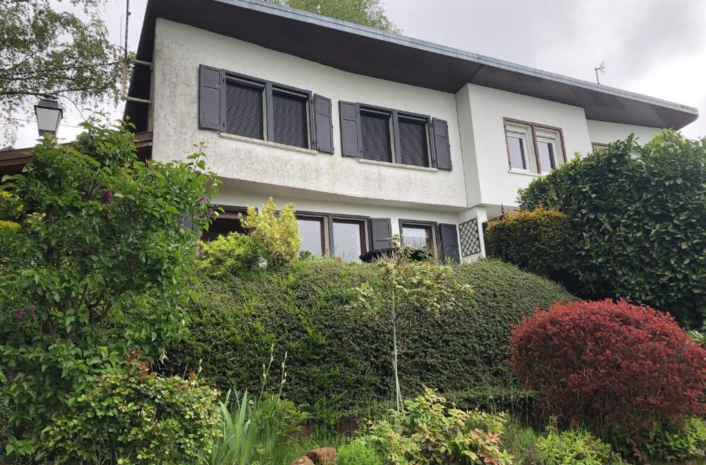 Dabo House | LE PETIT RENARD