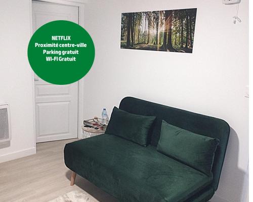 Quartier du Plateau Apartment | Le petit viry