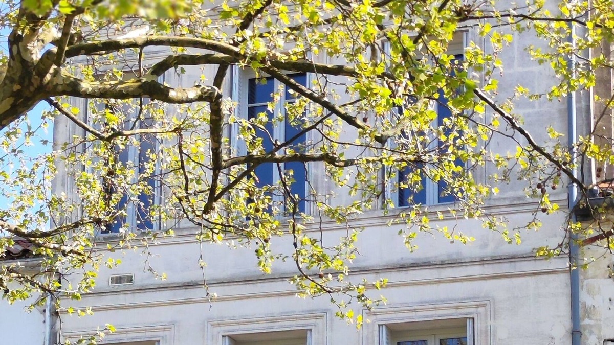 Cognac House | Le Prince de Cognac
