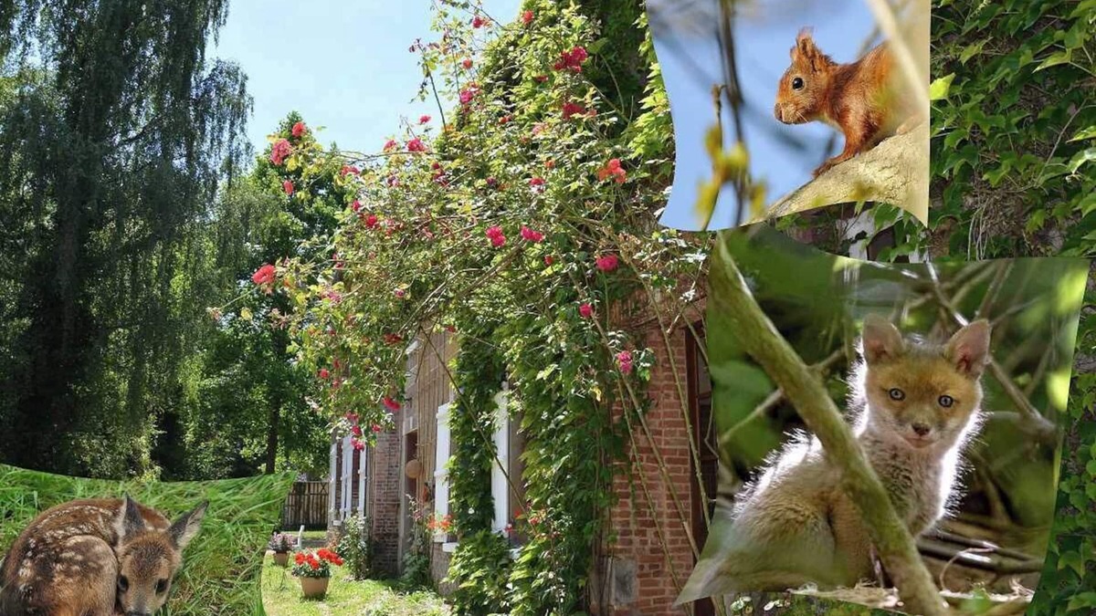 Saint-Maclou-de-Folleville House | Le Refuge - VARNEVILLE BRETTEVILLE