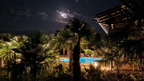 Mouzieys-Panens Bed & Breakfast | Le Relais des Chevaliers "La Suite des Seigneurs"