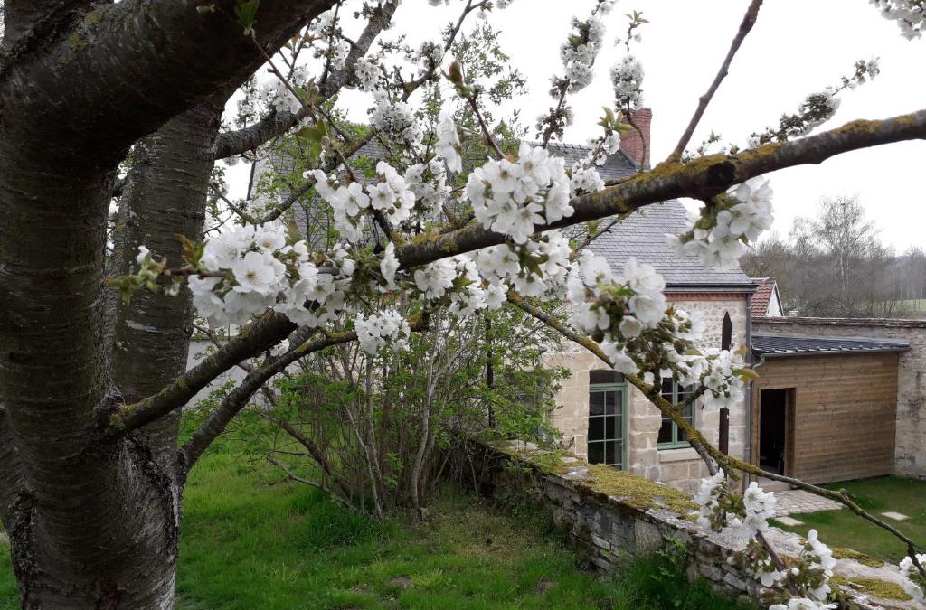 Revillon Bed & Breakfast | LE RELAIS